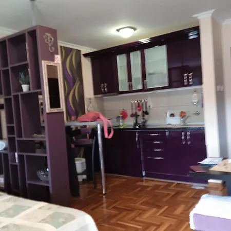 Studenicka * Vrnjačka Banja