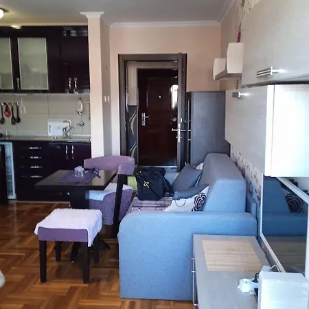 Apartamento Studenicka *