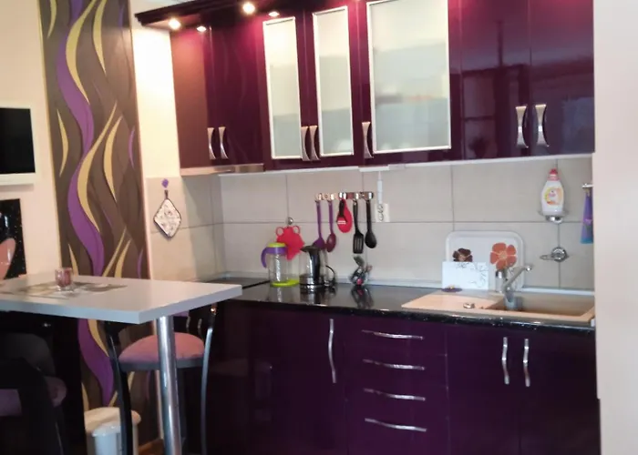 Apartamento Studenicka *